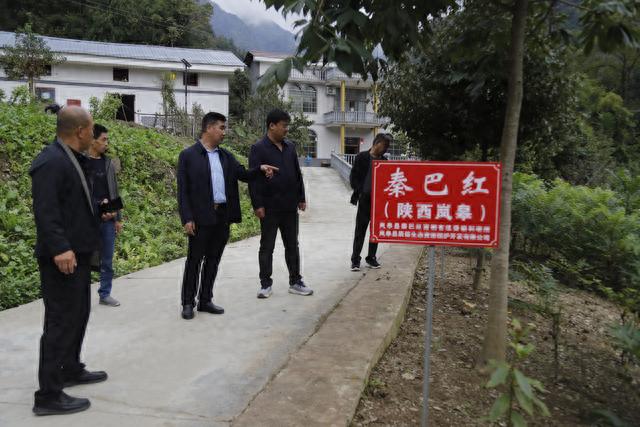 陕西省富硒产品认证（陕西认证省富硒产品是真的吗）-硒宝网