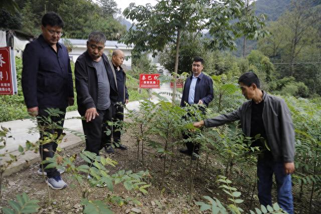 陕西省富硒产品认证（陕西认证省富硒产品是真的吗）-硒宝网