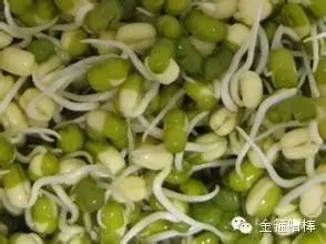 什么食物补钙最好(孕妇抽筋吃什么食物补钙好)-硒宝网