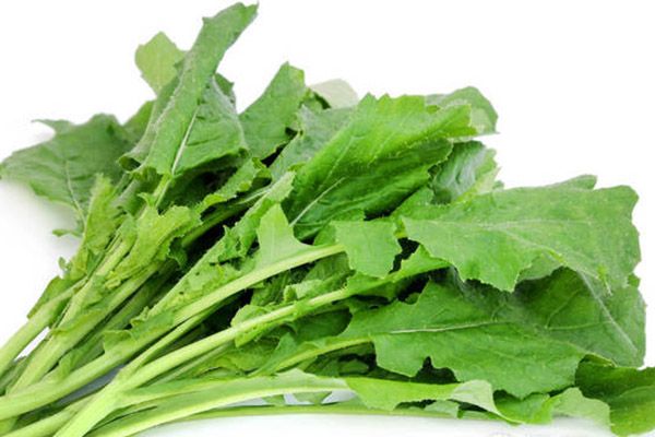 吃什么蔬菜补钙最快最好(蔬菜补钙吃好还是吃好)-硒宝网