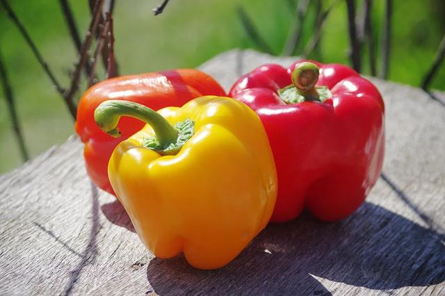 吃什么蔬菜补钙最快最好(蔬菜补钙吃好还是吃坏)-硒宝网