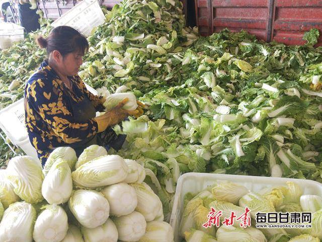 富硒农产品高原夏菜（高富硒地区）-硒宝网