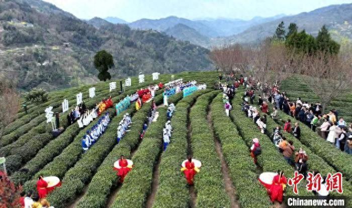 陕西安康市富硒产品(安康富硒农产品)-硒宝网