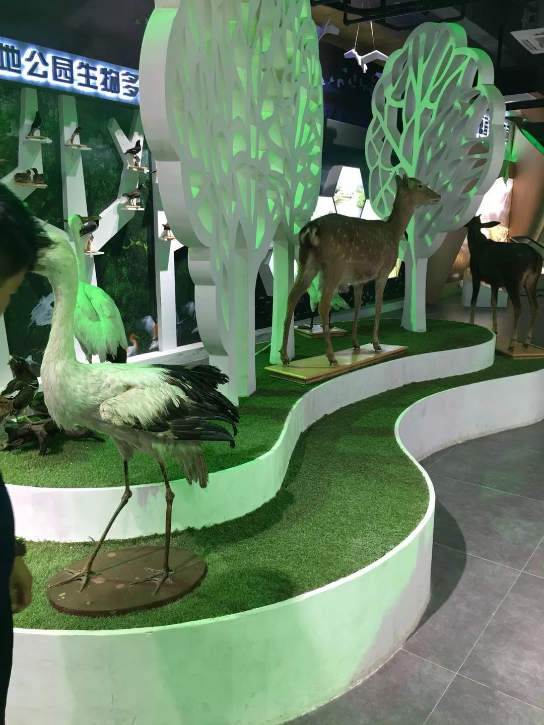 富硒农副产品的好处(富硒农产品有哪些)-硒宝网