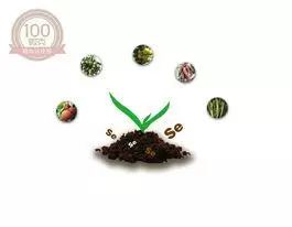 富硒农副产品的好处(富硒农产品有哪些)-硒宝网