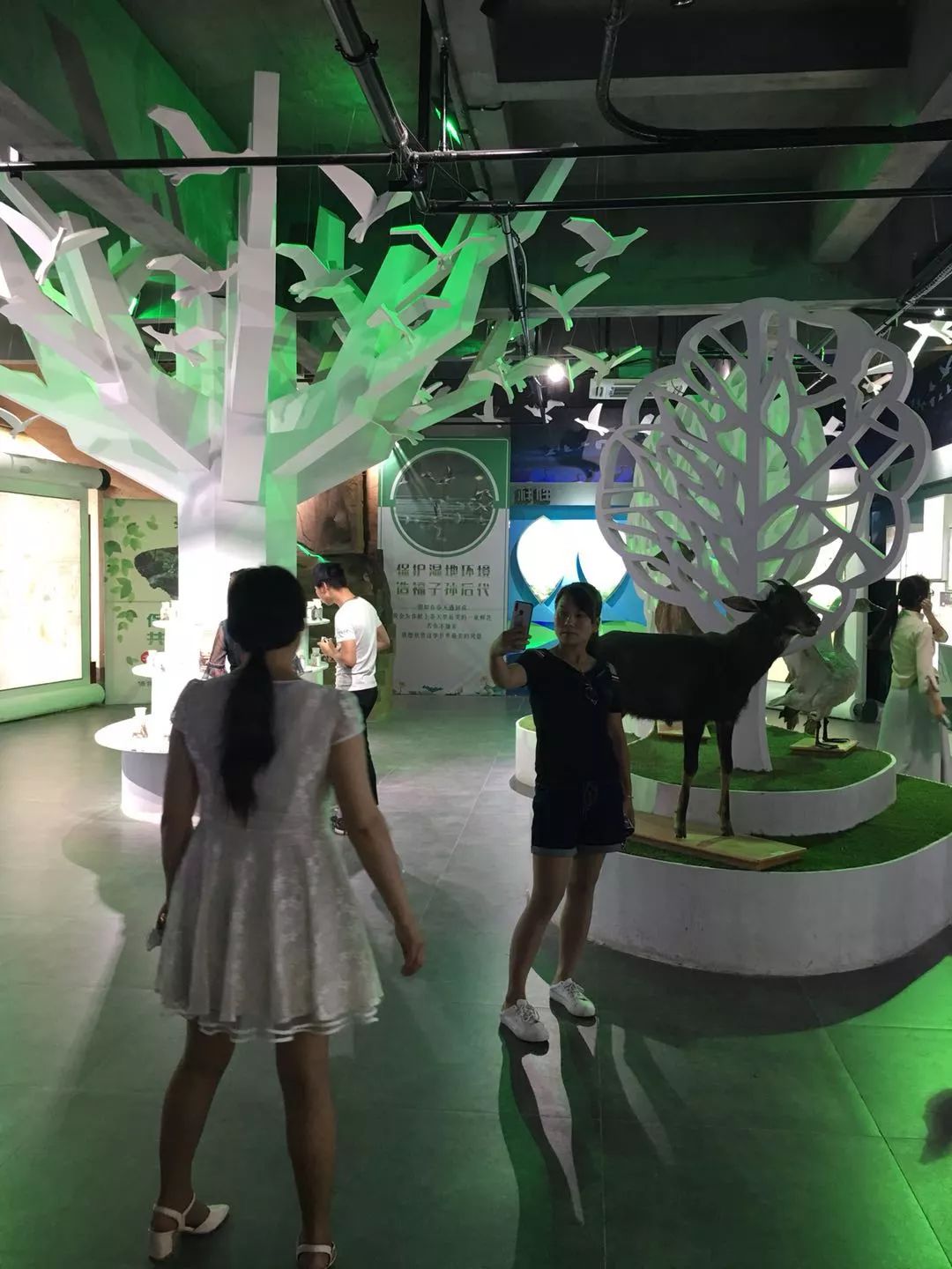 富硒农副产品的好处(富硒农产品有哪些)-硒宝网