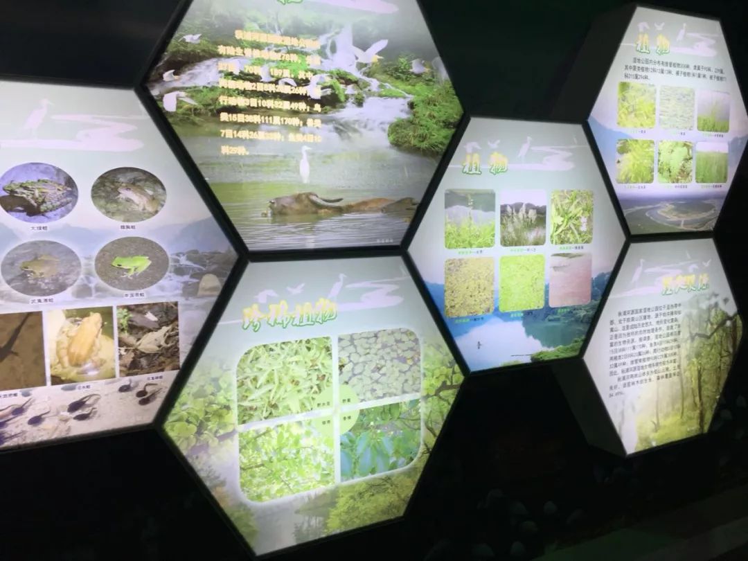 富硒农副产品的好处(富硒农产品有哪些)-硒宝网