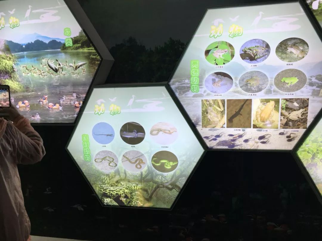 富硒农副产品的好处(富硒农产品有哪些)-硒宝网