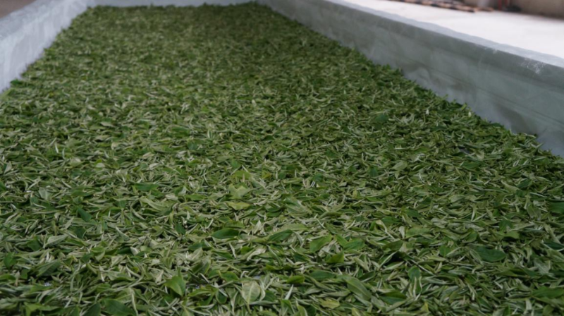 产品名称高山富硒茶(高山富硒茶属于什么茶)-硒宝网