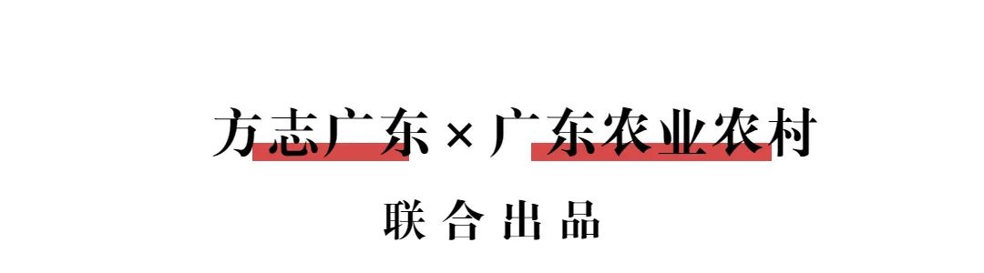 产品名称高山富硒茶(高山富硒茶属于什么茶)-硒宝网