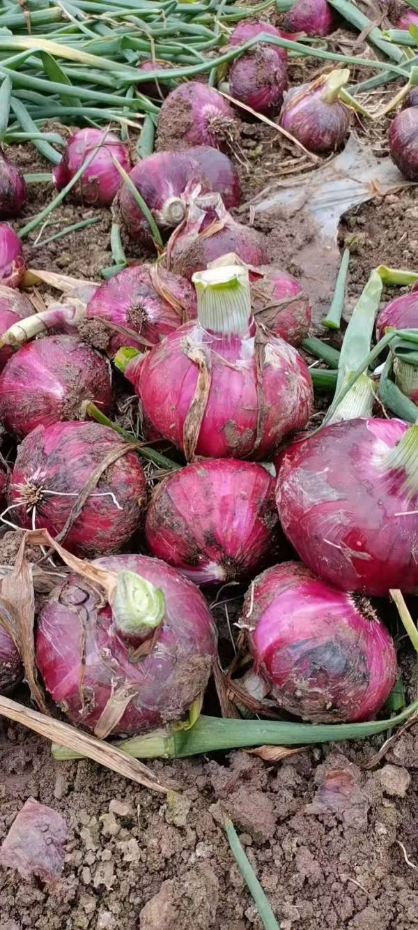 山西十大富硒农产品（富硒农产品销售平台）-硒宝网