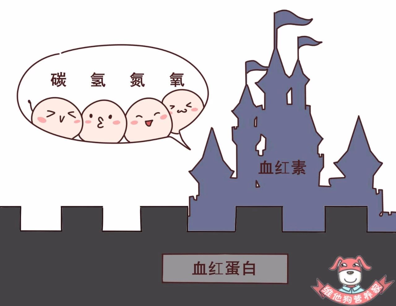 贫血补铁有用吗（贫血补铁用有效果吗）-硒宝网