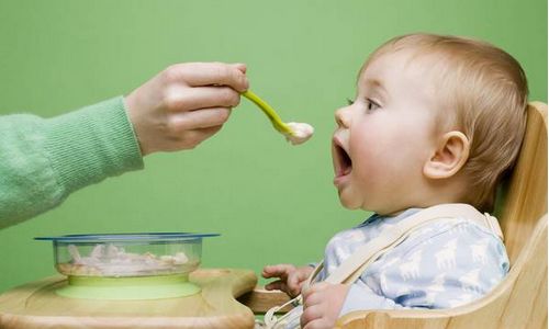 补铁食物(食物补铁排行榜)-硒宝网
