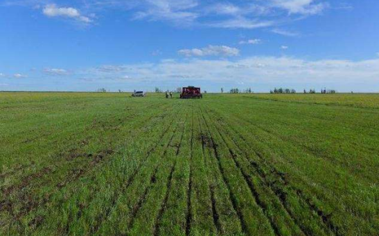 富硒农产品降低成本(国家对富硒农产品发展政策)-硒宝网