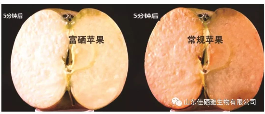 富硒农产品降低成本(富硒农产品销售模式)-硒宝网