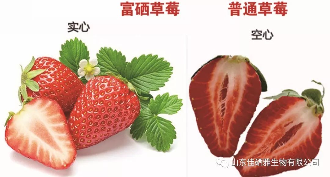 富硒农产品降低成本(富硒农产品销售模式)-硒宝网