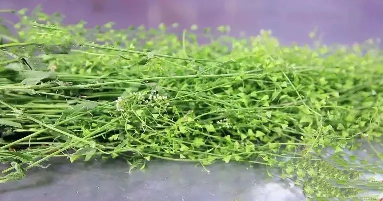 牛奶什么时候喝补钙效果好(喝牛奶补充钙)-硒宝网