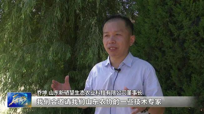 山东省富硒农产品网（山东富硒协会研究机构）-硒宝网