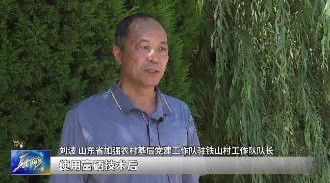 山东省富硒农产品网（山东富硒协会研究机构）-硒宝网