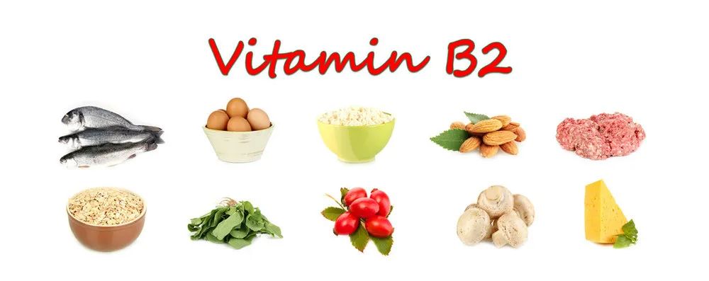 微量元素是啥（微量元素是什么检查项目）-硒宝网