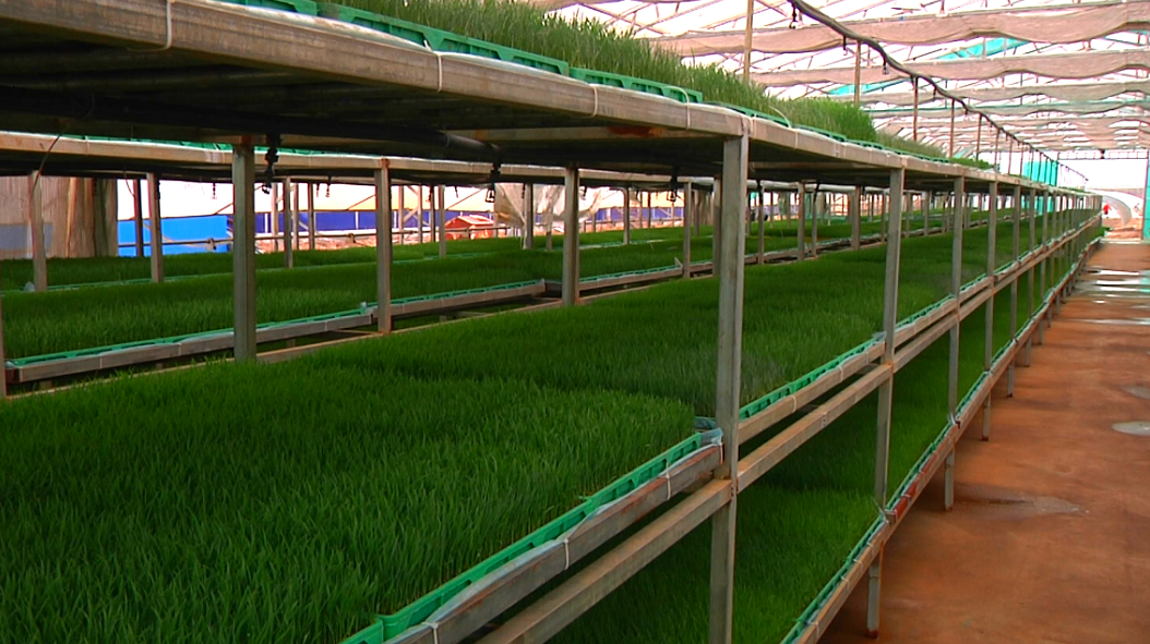 方正县是富硒农产品(方正富硒米多少钱一斤)-硒宝网