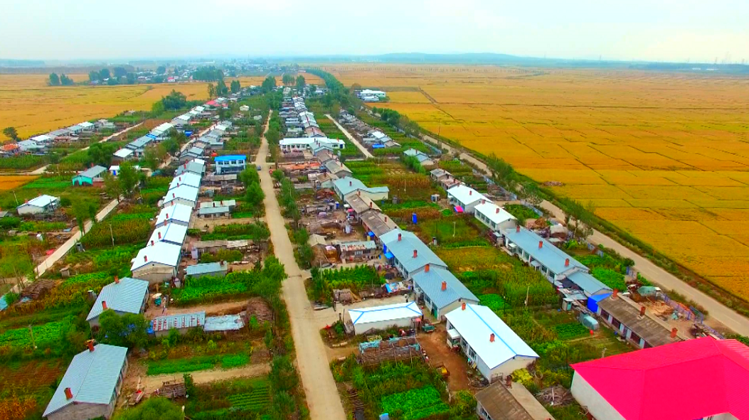 方正县是富硒农产品(方正富硒米多少钱一斤)-硒宝网