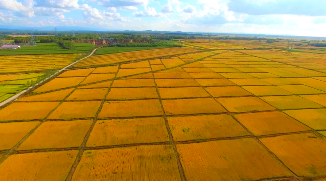 方正县是富硒农产品(方正富硒米多少钱一斤)-硒宝网