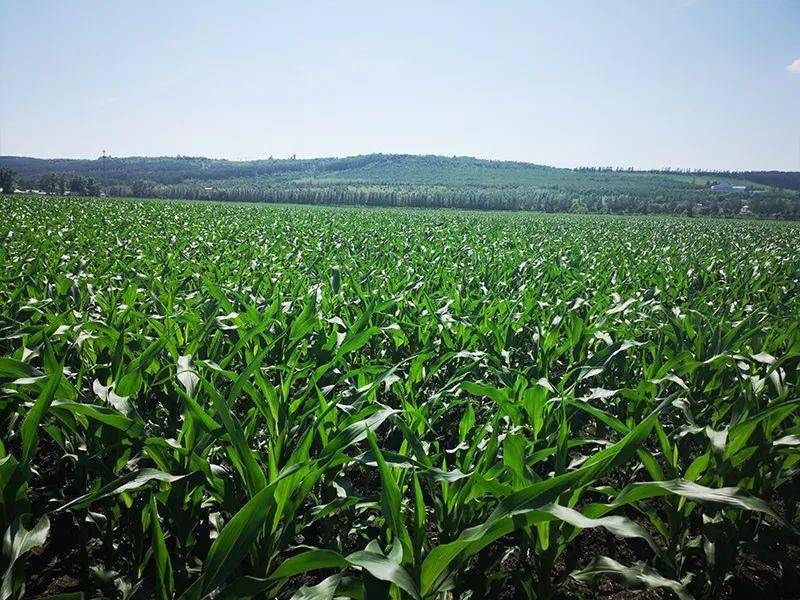 山东省富硒农产品网(山东省富硒产品种植基地)-硒宝网