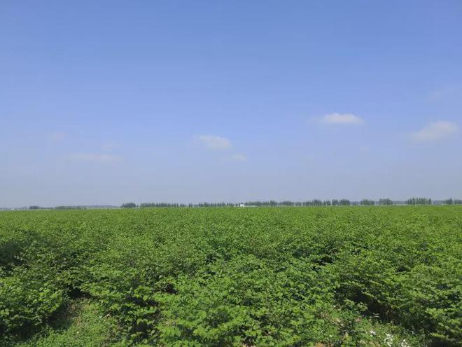 山东省富硒农产品网(山东省富硒产品种植基地)-硒宝网