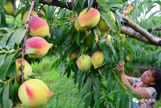 富硒农产品第一品牌(富硒农业网)-硒宝网