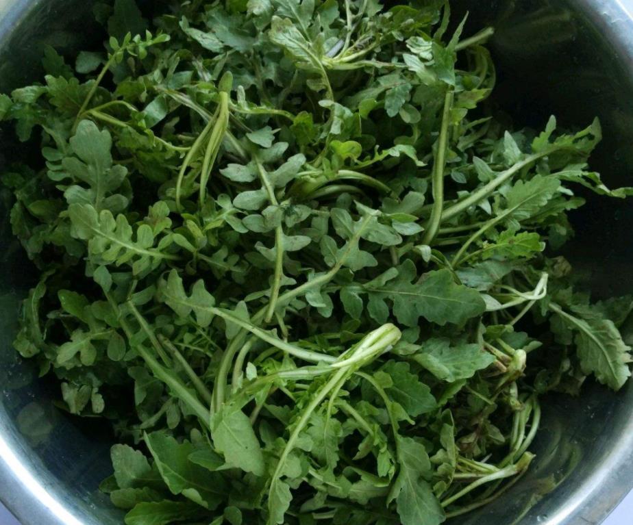 钙片和牛奶哪个补钙好(牛奶补钙钙片好吗)-硒宝网