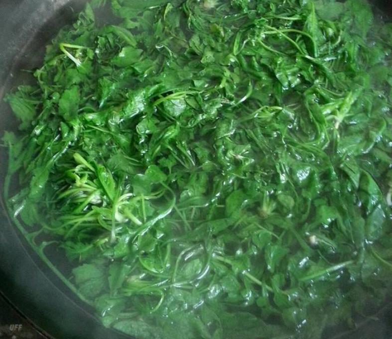 钙片和牛奶哪个补钙好(牛奶补钙钙片好吗)-硒宝网