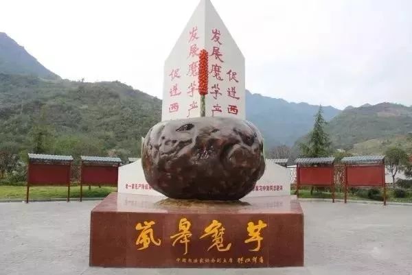 紫阳富硒茶政治环境（紫阳富硒茶园观光）-硒宝网