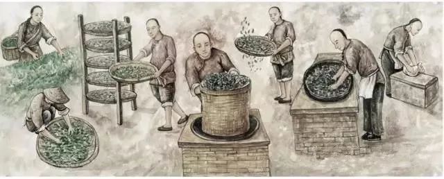 紫阳富硒茶政治环境（紫阳富硒茶园观光）-硒宝网