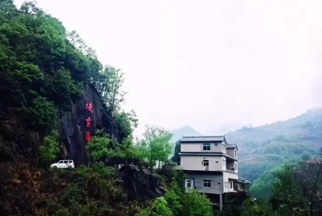 紫阳富硒茶政治环境（紫阳富硒茶园观光）-硒宝网