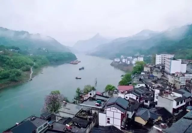 紫阳富硒茶政治环境（紫阳富硒茶园观光）-硒宝网