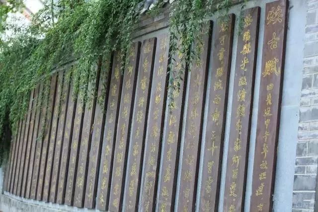 紫阳富硒茶政治环境（紫阳富硒茶园观光）-硒宝网