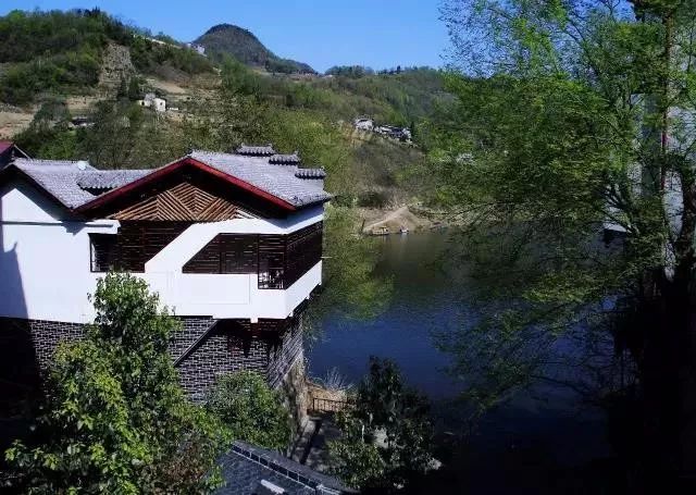 紫阳富硒茶政治环境（紫阳富硒茶园观光）-硒宝网