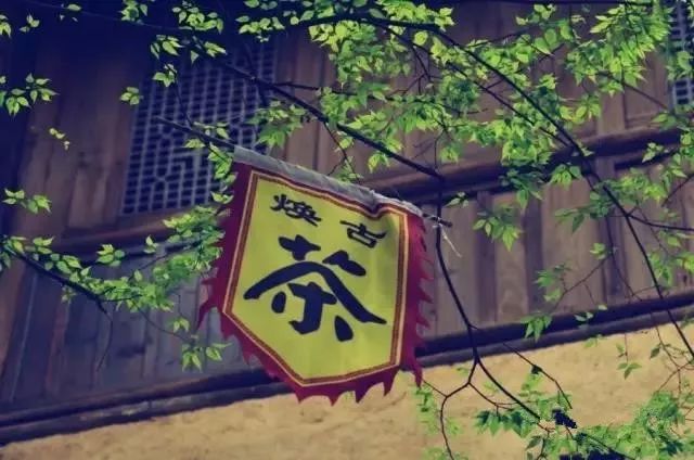 紫阳富硒茶政治环境（紫阳富硒茶园观光）-硒宝网