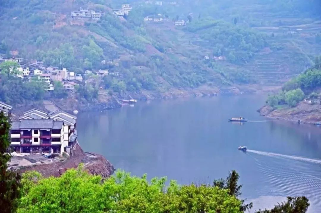 紫阳富硒茶政治环境（紫阳富硒茶园观光）-硒宝网