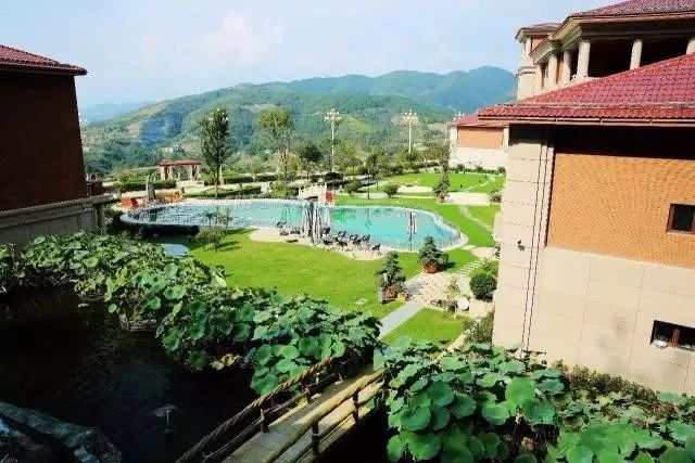 紫阳富硒茶政治环境（紫阳富硒茶园观光）-硒宝网