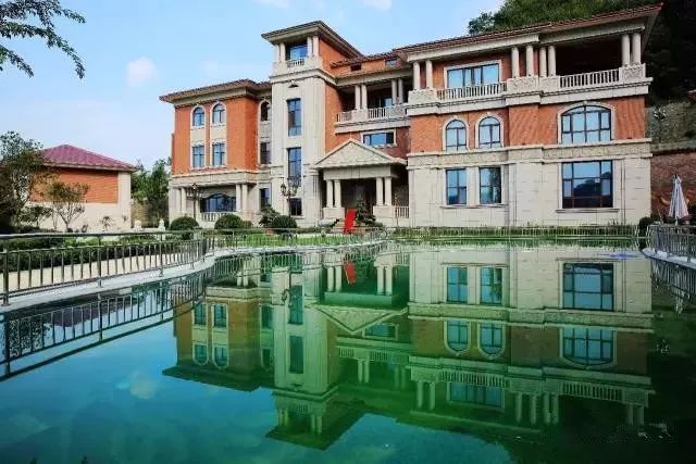 紫阳富硒茶政治环境（紫阳富硒茶园观光）-硒宝网