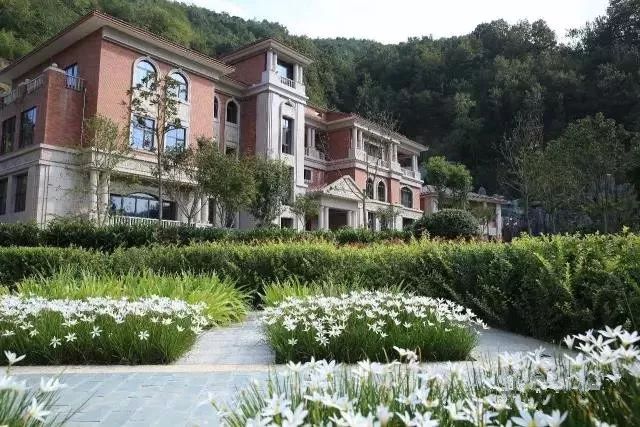 紫阳富硒茶政治环境（紫阳富硒茶园观光）-硒宝网