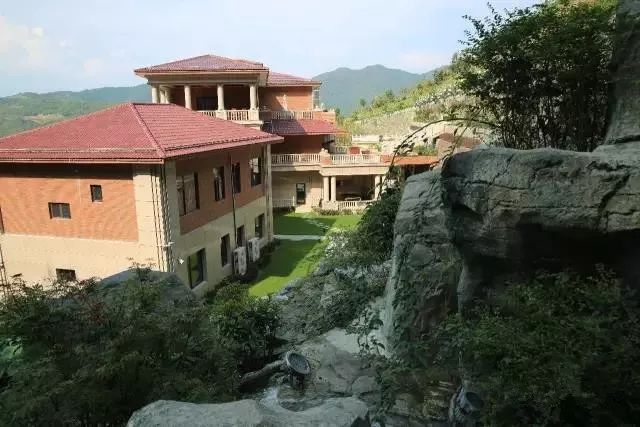 紫阳富硒茶政治环境（紫阳富硒茶园观光）-硒宝网