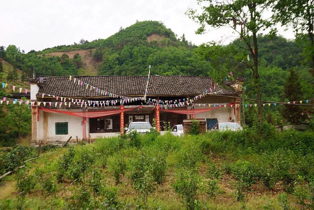 紫阳富硒茶政治环境（紫阳富硒茶园观光）-硒宝网