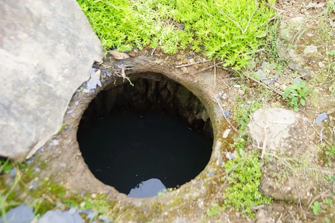 紫阳富硒茶政治环境（紫阳富硒茶园观光）-硒宝网