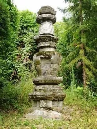 紫阳富硒茶政治环境（紫阳富硒茶园观光）-硒宝网