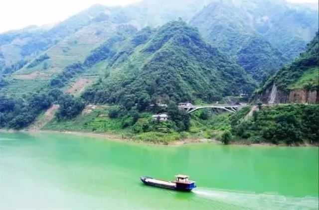 紫阳富硒茶政治环境（紫阳富硒茶园观光）-硒宝网