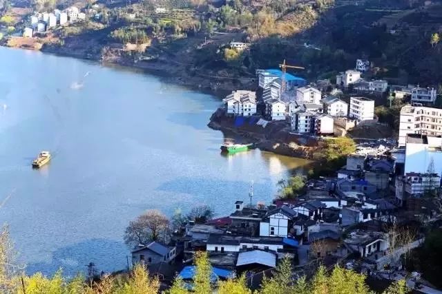 紫阳富硒茶政治环境（紫阳富硒茶园观光）-硒宝网