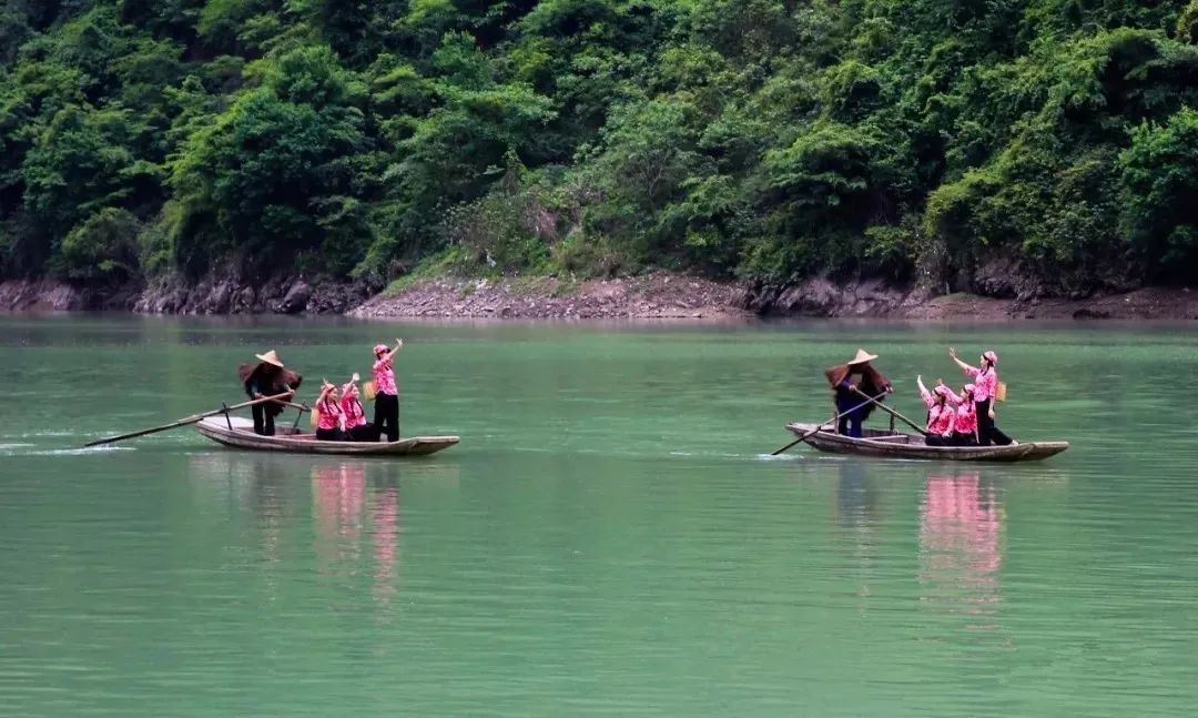 紫阳富硒茶政治环境（紫阳富硒茶园观光）-硒宝网
